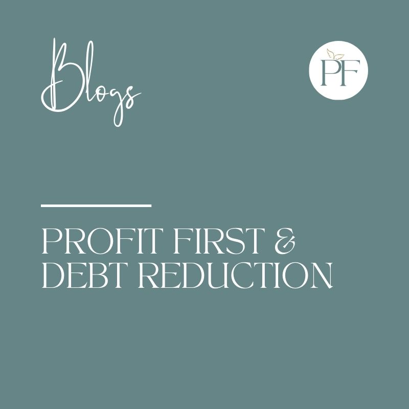 Using Profit First to Tackle Debt